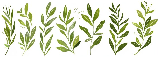 Sage icons outline modern. Leaf of a flower. Healthy garden.