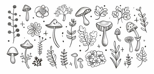 Wall Mural - A set of mystic magic modern line elements. In the shape of mushrooms, flowers, leaves, and lotus flowers, the outline set can be used for logos, tattoos, books, and prints.
