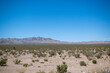 © rushay - Landscape view of desert area