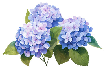 Poster - PNG Hydrangea flower plant lilac transparent background