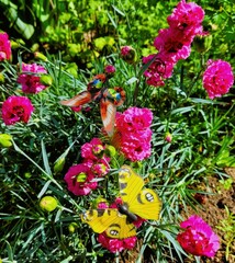 Sticker - flowers and butterfly