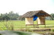 © ChairilAzmi - Small huts in the middle of rice fields are usually used by farmers as a place to rest and avoid the sun