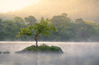 © _Danoz - Glorious Summer sunshine at a calm misty Rydal Water with trees in background. Rydal Water, Lake District, UK.