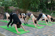 © onlyyouqj - A group of women practicing yoga in the park