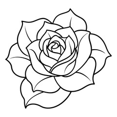 outline rose flower