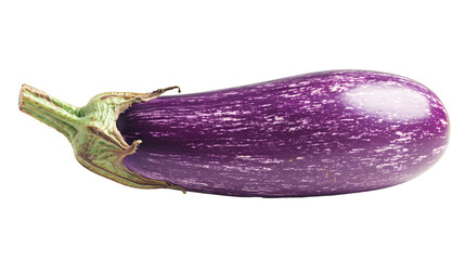 Wall Mural - a purple eggplant with green stem