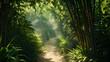 © Zape - Bamboo forest path with sunlight filtering through dense foliage.