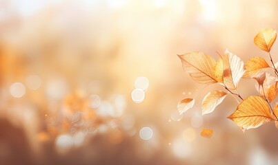 Wall Mural - Abstract Autumn Background with Tree Branch. Golden and Yellow Fall Leaves in Natural Bokeh Light