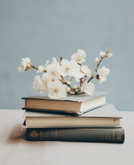 Apple tree blossom in vase and books in front of blue wall.