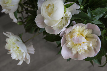 Wall Mural - Blurred floral background. A bouquet of white peonies.