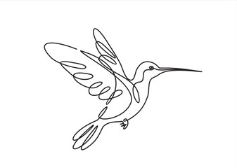 Continuous one line drawing of colibri. Humming bird. Abstract flying bird outline vector illustration.