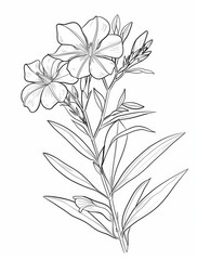 Wall Mural - Botanical Illustration of Oleander Flower for Adult Coloring Book Generative AI