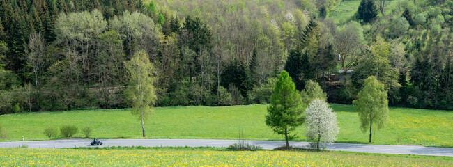 Wall Mural - motorcycle on road in spring valley near winterberg in german sauerland