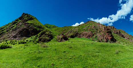 Wall Mural - High green mountains on blue sky background in summer, panoramic view