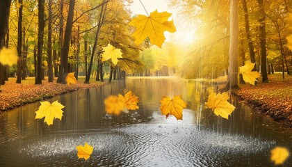 Wall Mural - landscape autumn rain drops splashes in the forest background october weather landscape beautiful park