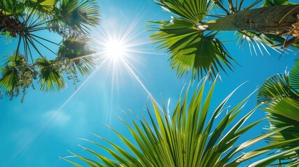 Canvas Print - unlight filtering through palm tree leaves creating a beautiful natural pattern , Sun, shining, bright, palm tree, leaves, green, blue sky, nature, vibrant, sunny, tropical, exotic, pattern