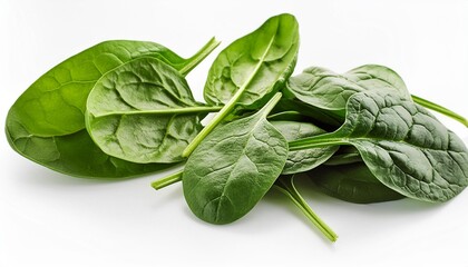 Wall Mural - spinach leaves on white isolated background