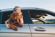 © Soloviova Liudmyla - Portrait Fluffy brown Maltipoo dog with smiling little girl looking out from an open car window while they sitting in back seat during car journey. Funny pets in a modern family concept.