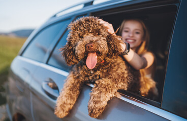 Portrait Fluffy brown Maltipoo dog with smiling little girl looking out from an open car window while they sitting in back seat during car journey. Funny pets in a modern family concept.