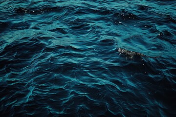 Wall Mural - The image is of a body of water with a dark blue color. The water appears to be calm and still, with no visible waves or ripples