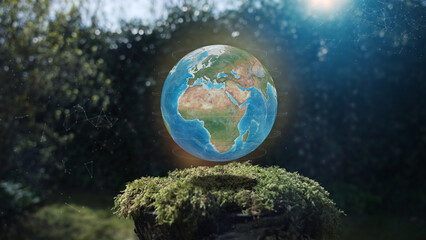 Wall Mural - earth europe africa plexus concept mos on tree stump nature background