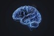 © frza studio90 - 3D illustration of human brain on black background
