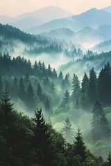 Wall Mural - A beautiful field of flowers with a mountain in the background