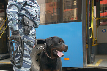 A policeman with a service dog against the background of a passenger bus.