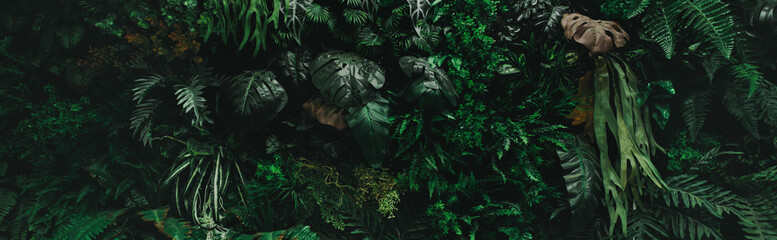 Wall Mural - ush green forest with a variety of plants and trees