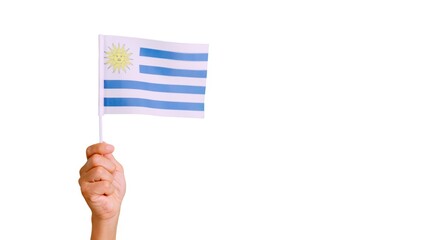 Wall Mural - Wind waving a uruguayan pennant holding by a hand