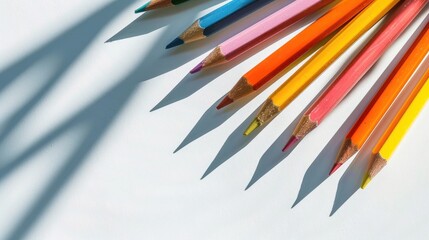 Sticker - Colorful pencils casting shadows on a white background with sunlight representing creativity design and diversity with available space for text