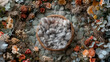 © erika8213 - Digital background for newborn photos with empty fluffy round Moses' bed.