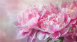 © Lubov - Exquisite spring background with beautiful pink peonies. templates for poster, invitation, card, banner.