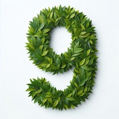 Wall Mural - Number 9 made out of green leaves, white background