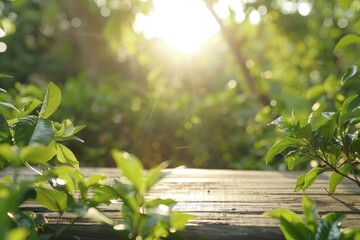 Wall Mural - Spring summer beautiful natural background with green foliage in sunlight and empty wooden table outdoors.