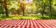 © Nice Seven - Red and White Checkered Picnic Blanket in a Sunny Park