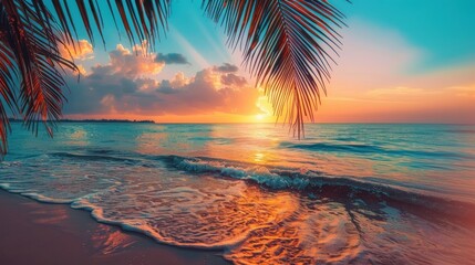 A beautiful beach with a palm tree in the background