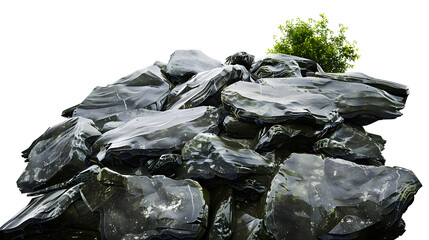 Poster - low angle perspective of hyper realistic high-quality image of flat wet shale forest rocks, very high contrast cinematic lighting, white background, png , clipping mask , photoshop asset