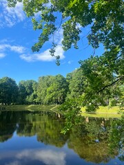 Wall Mural - summer lake in the park, blue sky with white clouds and green trees reflection on the lake surface