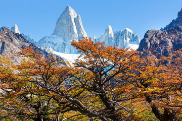 Poster - Autumn on Fitz Roy