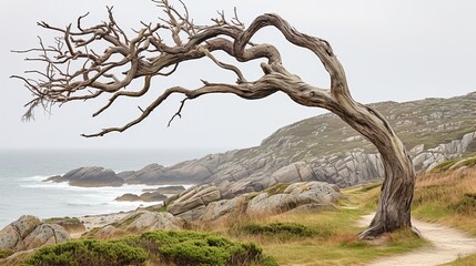 Poster - tree in the desert