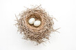 © Rysak - Bird's Nest with Two Eggs