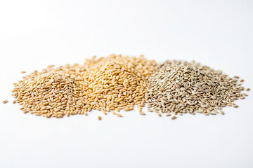 Canvas Print - Three Types of Grain Seeds