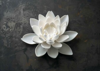 Poster - white lotus on a dark gray background for a gift certificate, beautiful and elegant