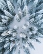 © DeepView - Aerial view of a snow-covered forest, a winter landscape background