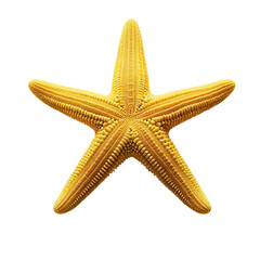 Wall Mural - beautiful yellow starfish on white