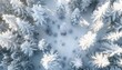 © DeepView - Aerial view of a snow-covered forest, a winter landscape background