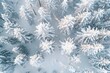 © DeepView - Aerial view of a snow-covered forest, a winter landscape background