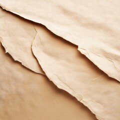 Wall Mural - Brown paper texture background.