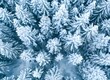 © DeepView - Aerial view of a snow-covered forest, a winter landscape background